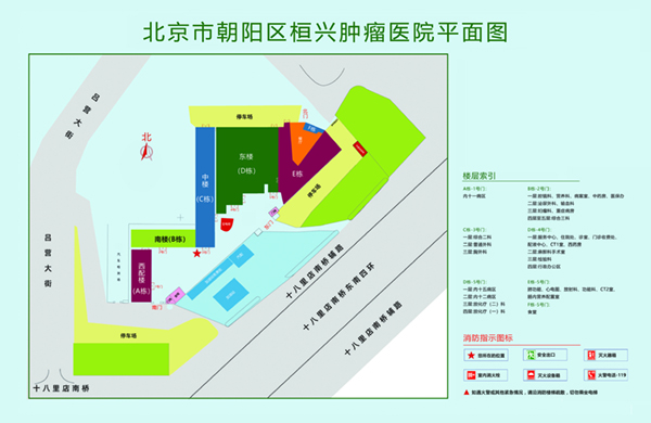 黄色操视频网站穴北京市朝阳区桓兴肿瘤医院平面图